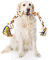 Nobleza - Corda giocattolo per cani in 100% cotone, benefica per la salute mentale del cane ， Salute dentale e pulizia dei denti ， Miglior regalo per tutti i tipi di cani （Beige e marrone）- 68cm