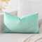 Artscope Luxury Velvet Cushion Covers Decorative Lumbar Pillowcases Soft Solid Cushion Cases for Couch Sofa Bedroom Car Decor 30x50cm Aqua Green