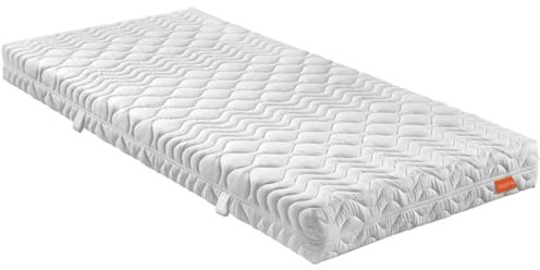 sleepling 7 -Zonen Kaltschaummatratze 100 x 200 x 21 cm Bodyprotect 500, Wende Matratze mit Duo Härtegrad 2 & 3, Made in EU, Wendegriffe, Waschbar 60 Grad, Ökotex 100