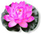 PLECUPE 5 Stück Gefälschte Schwimmend Lotusblüte Seerose Teich Pflanzen Plastikblumen, Künstliche Wasserpflanzen, Aquarium-Dekorationen, Garten Teich Dekoration, 18cm, Rosa