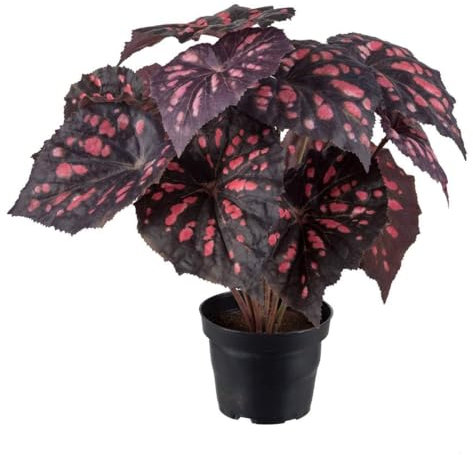 Artificielles.com - Künstliche Königliche Begonie im Topf, Höhe 30 cm, Durchmesser 25 cm, Purpur-Rosa 331