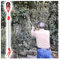 recoge fruta recogedor de frutas Recolector de aguacate, naranja, cítricos y limones para árboles, herramienta ligera para recolectar frutas con mango extensible de 150 a 300 cm(L 180 - 300 cm/5.9 - 9