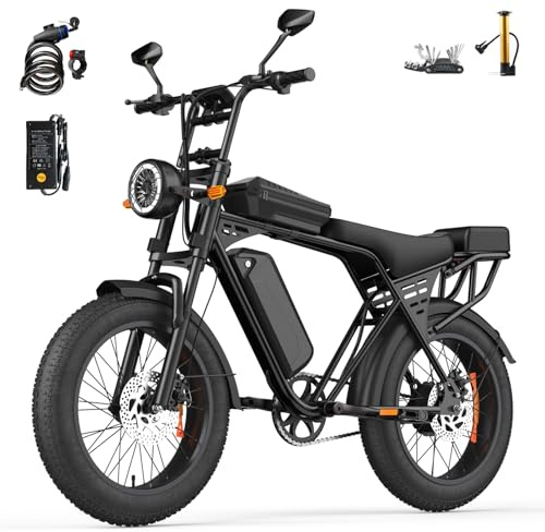 Aairsk Electric Bike for Adults, 20 x 4'' Fat Tyre Mountain Ebike with 80KM Range & 48V 15AH Removable Battery, 250W Motor 25KM/H X5 Electric Dirt Bike with Bicycle Pump and Cycling Bag