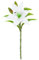 Yokawe Fleurs de lys artificielles durables avec tige et feuilles vertes pour maison, fête de mariage, arrangement floral artificiel intérieur ou extérieur, photo blanche
