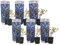 Plant in a Box - Myrtille - Set de 6 - Vaccinium corymbosum - Airelle à gros fruits - Pot 9cm - Hauteur 25-40cm