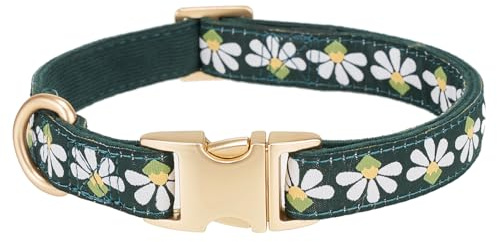 Petiry Gewebtes Hundehalsband mit Metallverschluss, schickes Blumenmuster, bequemer Cord für kleine männliche Welpen, Halsumfang 25–38 cm, Grün