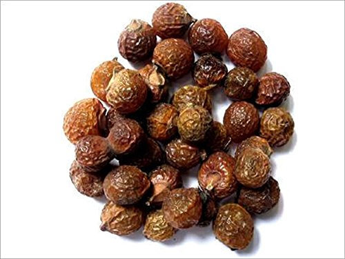REETHA ARITHA PODS 250gms Soap Nuts Sapindus *Whole*