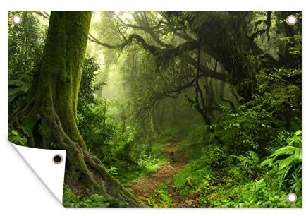 Outdoor-Poster Poster Wanddeko draußen Deko Garten Gartenposter 60x40 cm Dschungel - Pfad - Nepal - Jungen - Mädchen - Kind