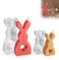 Silikonformen Gießformen,Silikonformen Ostern,Silikonform Hase, Kaninchen Silikonformen Ostern Hasenform für Ostern, Ostern Hase Backform,Sojawachs Kerzen（2 Stück）