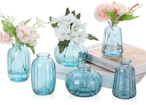 Ezvsevuo Vase 6pcs Kleine Vasen, Kleine Glasvasen für Tischdeko Hochzeit, Deko Vasen Mini Vasen Modern Glasvase Set Transparent Vintage Blumenvase