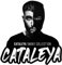 Cataleya Duftbaum | Black/White Früchtemix