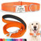 SEOUGEE Hundehalsband und Leine, Set mit gravierter Metallschnalle, reflektierenden Nylon-Hundehalsbändern und Leine für kleine Hunde mit individuellem Namensschild, Telefonnummer (orangefarbenes Set,