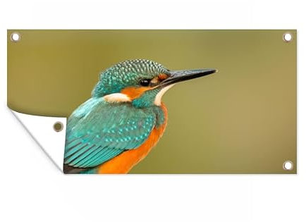 MuchoWow Outdoor-Poster Poster Wanddeko draußen Deko Garten Gartenposter 160x80 cm Eisvogel - Tiere - Vogel