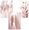 Trayosin Wandbilder Wohnzimmer 3er Premium Set Boho Rosa Pampasgras Poster Wandbilder Deko Bilder, Bilder Wanddeko Schlafzimmer, ohne Rahmen (A,50x70cm)