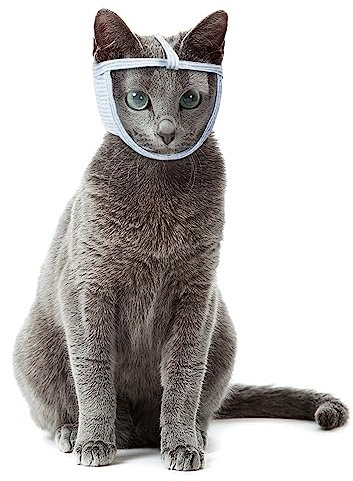 DONGKER Katze Maulkorb, Katzenmaulkorb mit Atmungsaktivem Mesh und PVC Gesichtsschutz für Kätzchen Katzen Verhindern Beißen Kauen Katzenpflege
