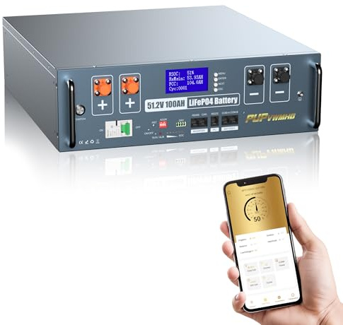 Batteria LiFePO4 48V 100Ah (5120Wh) con BMS 100A, WiFi/Bluetooth, soppressione incendi automatica. Kit rack 3U incluso. Ideale per accumulo solare e backup domestico.