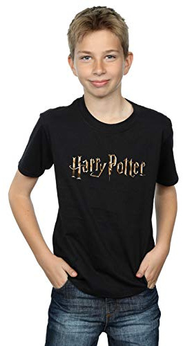 Harry Potter Boys Full Colour Logo T-Shirt Black 12-13 Years