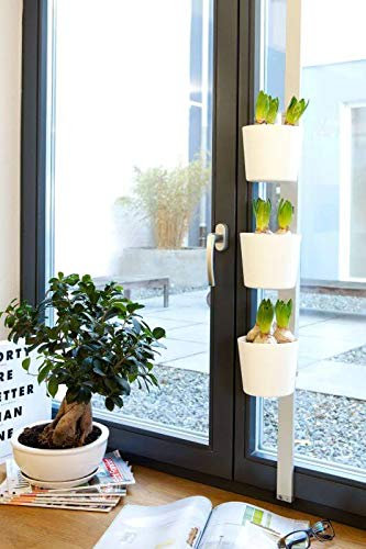 Willy's Fachmarkt Kräuer-und Pflanzenleiter Vega in weiß für Fenster