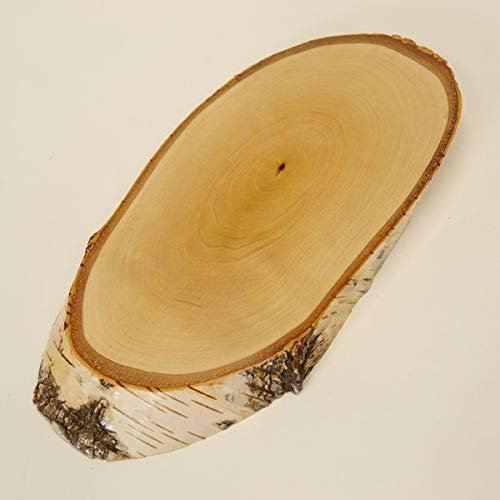 Birke Schild Trophäenschild REH groß Rehbock Geweih Baumscheibe Baumschild Natur Holz modern