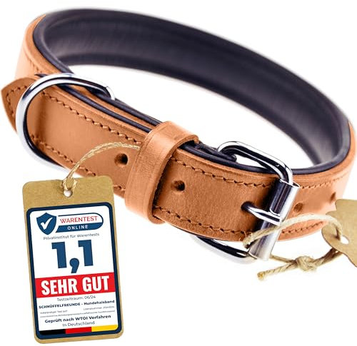 Schnüffelfreunde Halsband für Hunde aus Leder, Hundehalsband für den großen, mittleren und kleinen Hund, Lederhalsband gepolstert, robust (XL - 46-55cm, Beige)