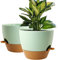 WOUSIWER Pots de fleurs G007 (terre cuite verte)
