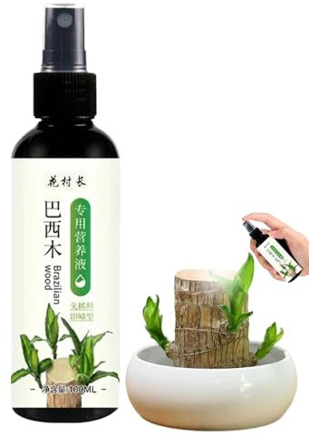 Alimento de plantas de madera brasileña, 100 ml de fertilizante líquido de bambú afortunado, solución nutritiva de madera brasileña hidropónica, solución nutritiva de madera brasileña