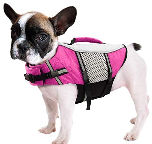 Queenmore Hunde Schwimmweste, Rettungsweste, Schwimmweste Hund kleine große, Rettungsweste für Kajak, Bootfahren, Schwimmweste französische Bulldogge, Dackel (Rosa, S)