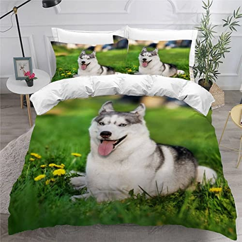 MEVASA Bettwäsche 200x200 Teenager Jugendliche Sibirischer Husky Bettbezug Set 3D Druck Hund Grün Bettwäsche 3-TLG Mikrofaser Bettbezüge mit 2 Kissenbezug 80 x80 cm