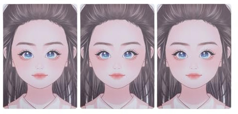 Tableau de Pratique de Peinture pour le Visage, 3 Pièces, Modèle D'exercice de Peinture pour le Visage en PET Souple, Lavable et Réutilisable, Tableau de Peinture pour le Visage