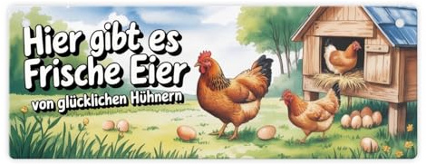 speecheese Metallschild L in 10,5x28cm Hier gibt es Frische Eier | von glücklichen Hühnern Greif zu und hol dir dein humorvolles Metallschild in bester Qualität