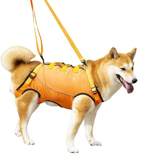 Hundegeschirr, Hebegeschirr für kleine und mittlere Hunde für alte,Gelenkverletzungen-Hebegurt für Haustiere, Ganzkörpergeschirr, Hunde Tragetasche mit Schultergurt, Weich, Einstellbar (Orange, S)