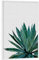 artboxONE Poster mit weißem Rahmen 90x60 cm Pflanzen & Blätter Natur Ginkgo Palm - Bild Agave Palme Pflanze