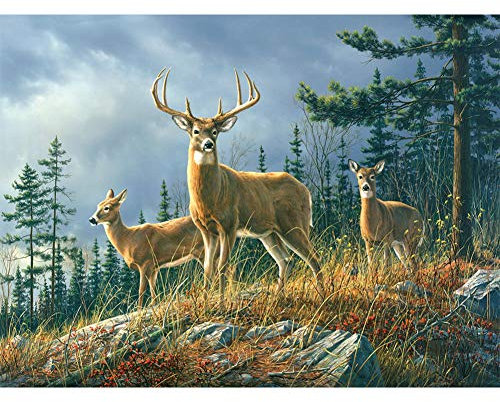 5D Diamond Painting Diamant Malerei Painting Bilder, Wowdecor Hirsch Elch Tiere Baum Dunkle Wolken Full Set Groß DIY Diamant Gemälde Malen Nach Zahlen