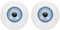 PATIKIL 24mm Doll Eyes, 2 Pcs Realistic Acrylic Eyes Plastic Half Eyeballs for Dolls Masks Halloween Props Art Craft, Light Blue