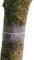 Gardening Naturally Clear Glue Bands For Trees 2 x 1m + String Glue Pesticide Free Stop Crawling Insects Control 16cm Wide