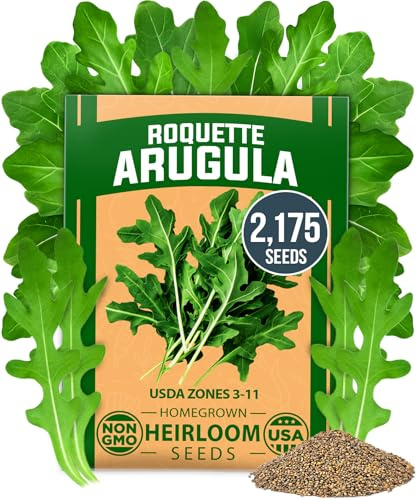 HOME GROWN Arugula Roquette Seeds 2,175+ Heirloom Non-GMO Seeds for Planting, High Germination, Fast Growing Peppery Salad Greens, Indoor Outdoor Hydroponic Garden, Microgreens (Eruca vesicaria)