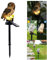 ALLOMN Solar Rasen Lampe, Outdoor Solar Licht Garten Dekoration Lampe Wasserdichte Weg Rasen Garten Lampen Eule Design (Grau)