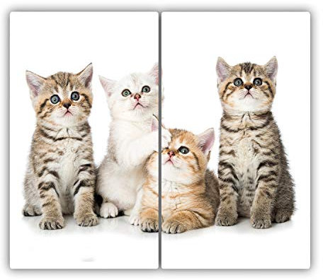 Schneidebretter Glas 2x30x52 cm Plastikfrei Lebensmittelecht Dekorativ 2 Stück Glasplatte Antibakteriell Gehärtetes Glas Hitzebeständig für die Küche Rutschfest Silikonfüße - Kleine Katzen