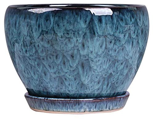 XINLEE Européen Extra Large Pots De Plantes en Plein Air Creative Clivia Céramique Jardinière Paon Bleu Grand Style Chinois Maison Vert Chlorophytum Plante en Pot,16cm