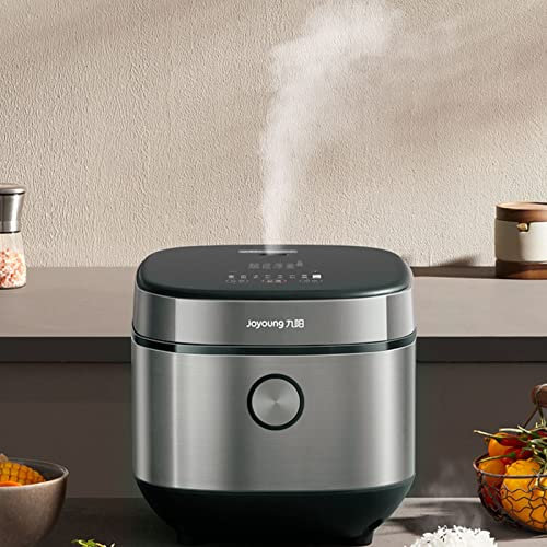NIBHZ Cuociriso 6 Tazze Cuociriso Crudo, Cuociriso da 4 Litri, Cuociriso Portatile per 2-10 Persone, Cuociriso, Multi-cuocitore per Riso Integrale, Riso Bianco, Quinoa