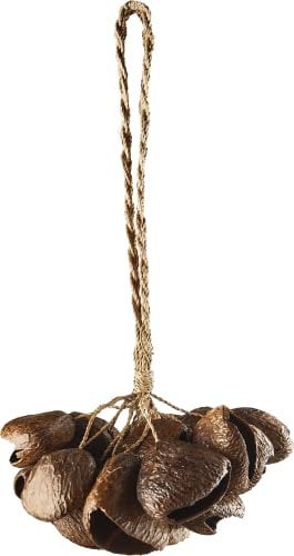 Sonic Energy Pangi Nussschalen Shaker – Ca. 21 cm – Soundeffekt-Instrument für Therapie und Percussion – Mit Handgelenkband (SPGRS)