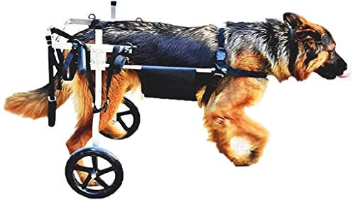 GCCSSBXF Premium Rollstuhl mit Rollstuhl für mittelgroße und große Hunde, Rehabilitationswagen für 15–60 kg Hunde, inklusive Autogeschirr, einfache Mobilitätshilfe