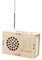 DIY FM Radio Modell Lehrhilfen Montage 3D Puzzle für Teenager Kinder Jungen Mädchen