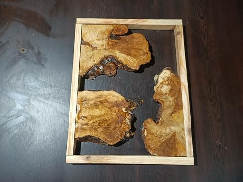 Live Edge Olive Root Slabs Set for DIY Epoxy Projects cutting boards, Ready to be Resin Table, Cleared Wood Slabs for Epoxy Resin Project 30x40