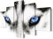 5 Stück Tier-Wandkunst Husky Blue Eyes Husky Poster Tier Poster Hund Wandkunst Tier Bilder Wandkunst Tier Wanddekoration Tier Bilder Tier Leinwand Husky Dekor für Schlafzimmer Dekor (127 cm Bx61 cm H)