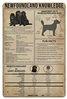 Neufundland Hund Wissen Poster Metallschild Kunst Wandschild Dekor Infografik Poster Eisen Malerei Aluminiumschild für Schule Bildung Bauernhof Männer Höhle Bar Yoga Outdoor Deko