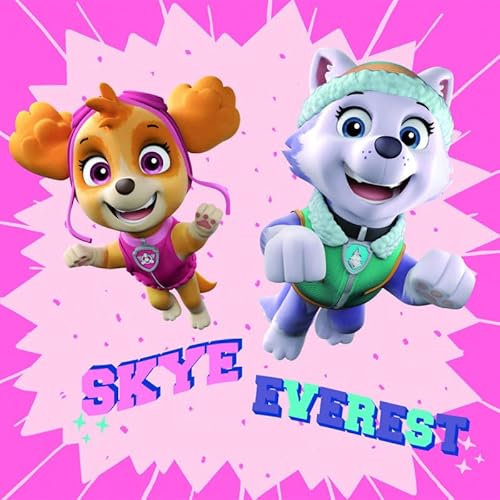 Tableau Pat'Patrouille - Skye et Everest - 35 cm x 35 cm