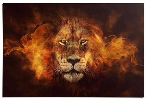 REINDERS Poster, Löwe in Flammen, Hobbyraum, Poster, Wanddeko, Room Decor, Bilderdruckpapier, Braun, 61 x 91,5