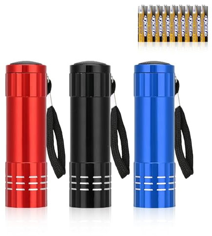 flintronic 3 Pack LED Small Torch, Small Pocket Flashlight with 9 LEDs, Aluminium Kids Torches, with Lanyard, Super Bright, for Kids Adult Camping Hiking Outdoor Gifts, Batteries Included