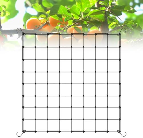 FELINAT Scrog - Rete 80 x 80 cm, con 4 ganci a S, estensibile 80 – 200 cm, per giardino, cortile, piante da frutta e fiori
